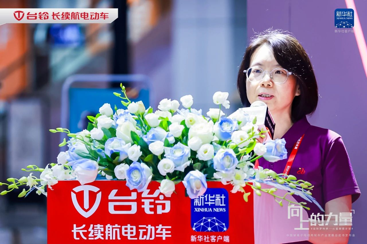 臺(tái)鈴長(zhǎng)續(xù)航電動(dòng)車(chē)